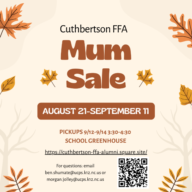Fall Mum sale flyer